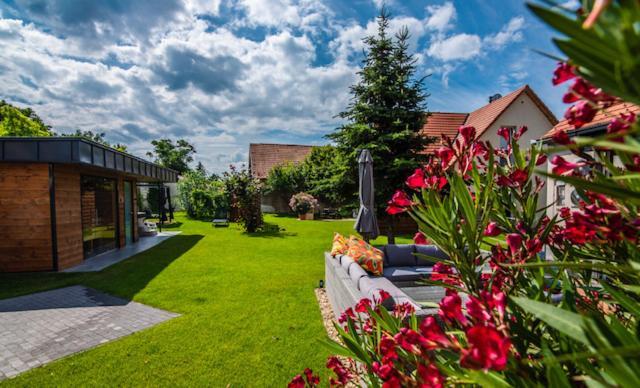 Voelgy Vendeghaz Hotel Etyek Exterior foto
